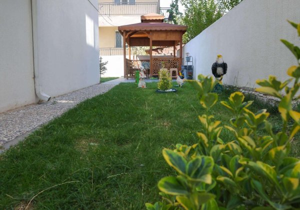 Algül Sokak