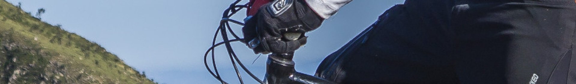 Eldiven