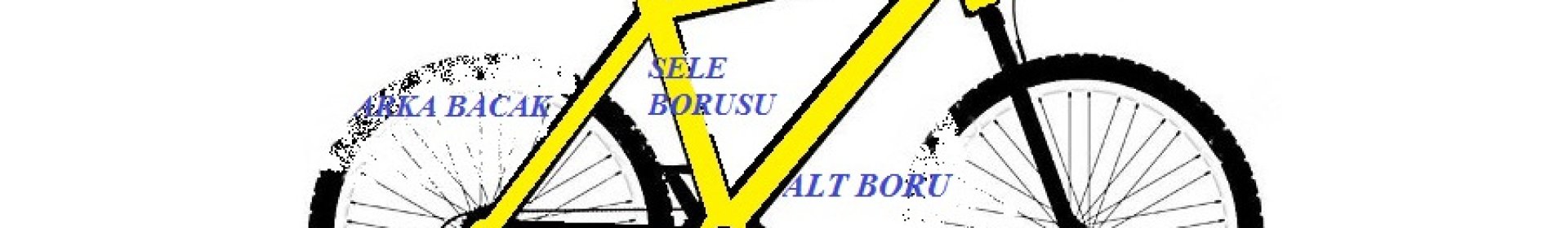 Kadronun Bölümleri