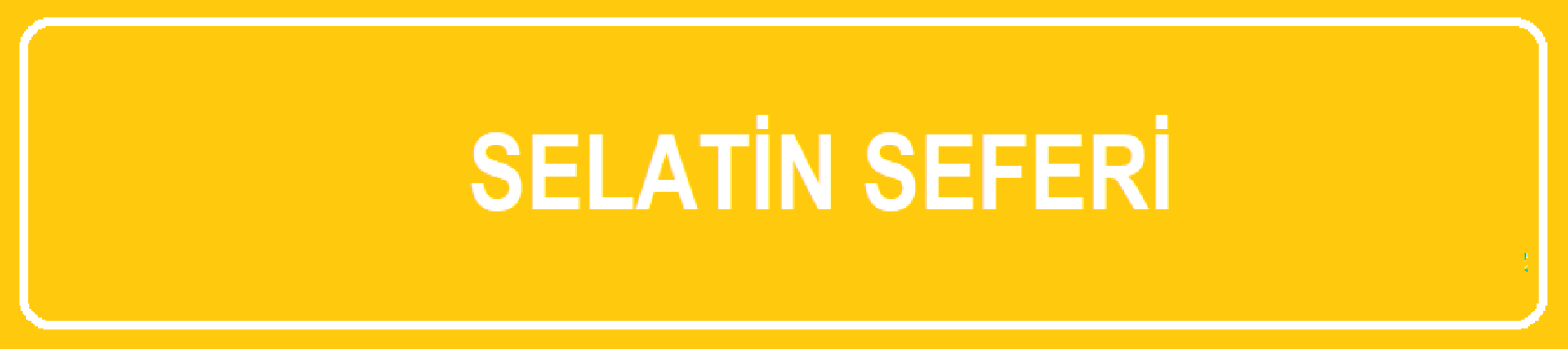 7. SELATİN SEFERİ