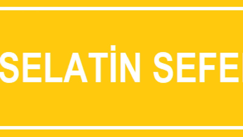 7. SELATİN SEFERİ